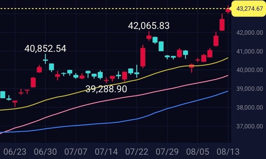 日経平均、史上最高値を更新中
